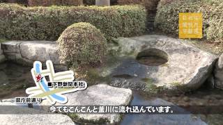 【宇都宮市】釜川を歩く