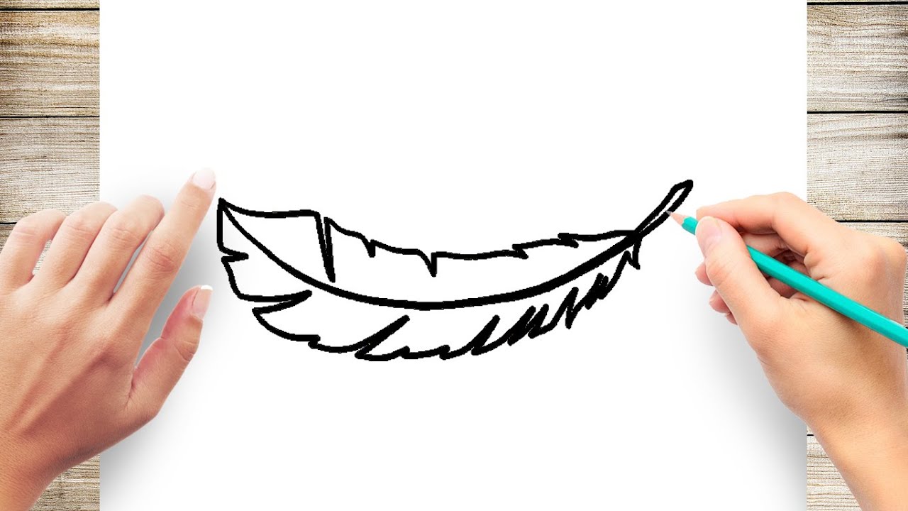 How To Draw Feather Easy Youtube