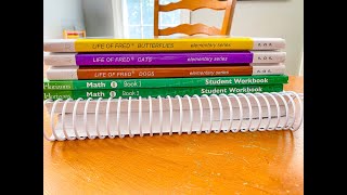 What homeschool math curriculum we use for 2020-2021 school year.