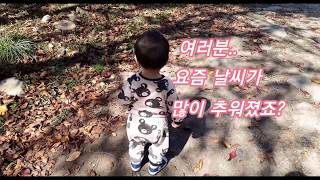 [ 진안고원 산골일기 ] 돌쟁이 현이의 단풍 놀이/다둥이/가을이 깊어졌어요/다큐공감/인간극장