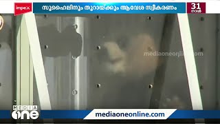 ലോകകപ്പിനായി ചൈന സമ്മാനമായി നല്‍കിയ പാണ്ടകള്‍ ഖത്തറിലെത്തി