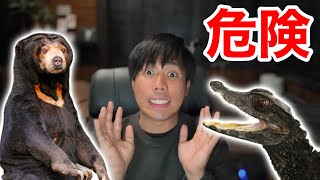 生き物Youtuberが遭遇した危険な事TOP１０を発表します