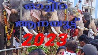 ഓച്ചിറ ആനയൂട്ട്  2023#karunagappally #ochira #onattukara #gajapraja #anapremi