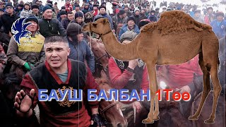 2022 БАУШ БАЛБАН БИР ТООГО ТАШТАДЫ АЛАЙ РАЙОНУ