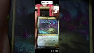 【MTG開封】五万円福袋【セラ】14