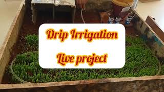 Drip irrigation Model | Science Project ideas