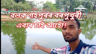 নতুনকৈ সজোৱা গহপুৰৰ বৰপুখুৰী এবাৰ চাই আহোঁ ব'লক/Gohpur/gohpur borpukhuri/new assamese viral video