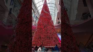 Toronto Eaton Centre Tree Light Show 12.15.2024