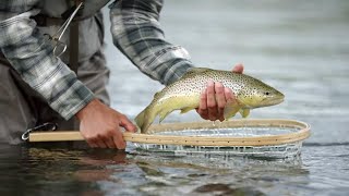 Basic River Fishing Tactics for Trout | Simon Gawesworth