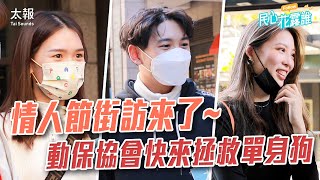 情人節街訪來了!!動保協會快來拯救單身狗~｜民心花露誰 EP. 30