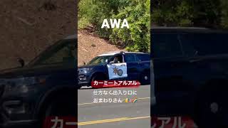 SUVパトカーが一般的🤫🇺🇸🎉🌈 #アメ車 #ワイルドスピード  #shorts