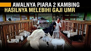 YANG PERLU DIPERSIAPKAN SEBELUM TERNAK KAMBING AGAR TIDAK GAGAL