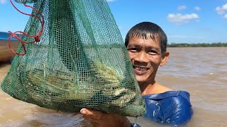 May Mắn Hốt Được Tôm Lồng Máng Bự Về Nấu Mì Cay Ăn Thiệt Là Ngon | Vương Quốc Bần #118