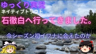 【ゆっくり実況】【石徹白】【ネイティブトラウト】2024年5月8日GW明けの岐阜県郡上市の石徹白川でのゆっくり実況です。