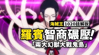 海賊王動態漫畫解說1020話：羅賓上演高智商碾壓！兩大幻獸鏖戰鬼島！