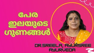 പേരയിലയുടെ ഗുണങ്ങൾ -Dr.Sreela, Ayursree Ayurveda Hospital.