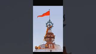 Patakalagi darshan of puri shree jagannath mandir(07/09/2024)#patakalagi#ytshorts#shortsfees#viral