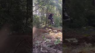 Explore more of nature on a Mountainboard