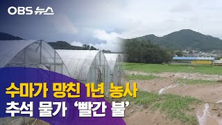 장마로 1년 농사 '헛수고…농산물은 '금값'