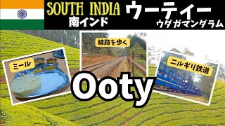 【インド旅行】🇮🇳斜面に広がる圧巻の茶畑と山奥で感じたキャッシュレス決済の弊害　南インド/ウーティー/ウダガマンダラム