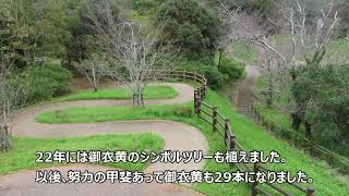 さどわら（知る知るシリーズNO.6）宝塔山公園愛護会