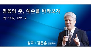 20200614 포도원교회 김문훈목사 히브리서 11장32절,12장1절~2절 믿음의 주, 예수를 바라보자