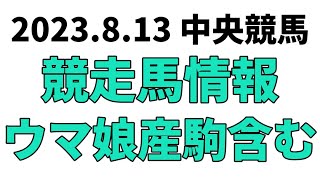 【小倉記念】中央競馬情報 2023年8月13日【ウマ娘産駒】