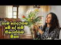 හැම ගෙදරකම මේ දේ නම් තියෙන්න ඕනෙ | Home Decoration and Organizing with Dove Greens