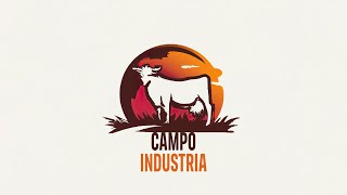 Campo Industria: Programa del 04 12 2024