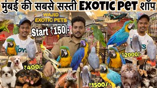 Start ₹150/-😱|| सबसे सस्ती शॉप | Dogs | Cat | Birds| cheapest Pet market in Mumbai | Wajid pet shop