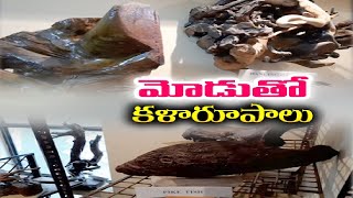 ఎండిన చెట్ల నుంచి అద్బుతమైన కళాఖండాలు | Stunning Artifacts From Dried Trees | Hyderabad |