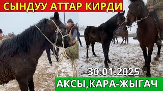 😱🔥СРОЧНО КОРГУЛО🔥 СЫНДУУ АТТАР КИРДИ😱 | АКСЫ,КАРА-ЖЫГАЧ | 30.01.2025