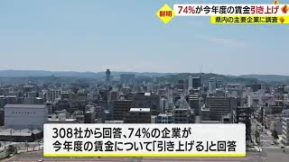 鹿児島県内主要企業の７４％が「賃金引き上げる」九州経済研究所が調査 (23/05/01 19:58)