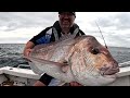 fishing windy harbour a taste of outback australia