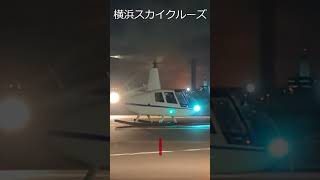 【穴場情報】横浜遊覧ヘリ“横浜スカイクルーズ”