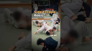 다들 즐겁게 탈출 #jiujitsu #주짓수 #bjj #escape #주짓수기술