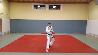 DJJV Hanbo Kata Shodan Kyo