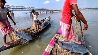 Brahmaputra River Big Fishing Video | Viral River Fishing Video |Ep36