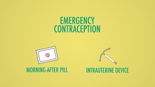Emergency contraception explained: The morning after pill VS the coil