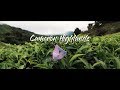 Cameron Highlands - A Cinematic Experience