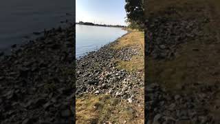 日本　静岡県　浜松市　の湖　佐鳴湖　ウォーキング 2019年12月14日