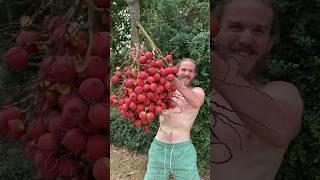 The Deadliest Fruit In The World