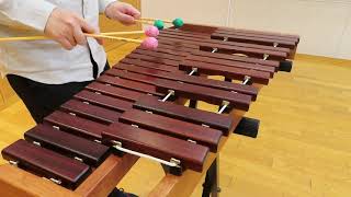 165【KOROGI卓上木琴】deskxylophone improvisation YAMAHA ME-304×YAMAHA ME-303