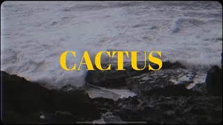 Raste - Cactus  Prod by Joseph x Jonas