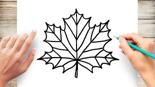 How to Draw Maple Leaf Easy