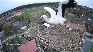 Ságvár /Hungary/ - indulás /take off/ - 2021.04.06