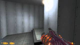 Black Mesa Source: Lambda Core (Entering the portal), without wasting your weapon