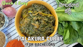 Palakura Curry Recipe In Telugu || పాలకూర కర్రీ || palak Curry || Palakura Curry Recipe #tastyqzin