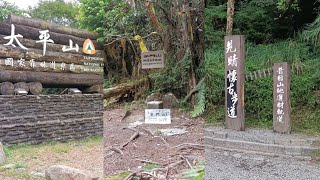 太多情環走(步道+山徑+林鐵):太平山-多門山-見晴林鐵/步道-觀雲棧道  2022年8月