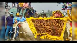 OMG mass Entry - D.Koththaplli jallikattu festival 2022 - Rkt jallikattu vlogs